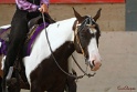 27-APHA OT_093